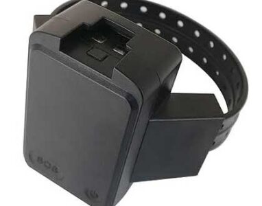 Bracelet Prisoner Tracker